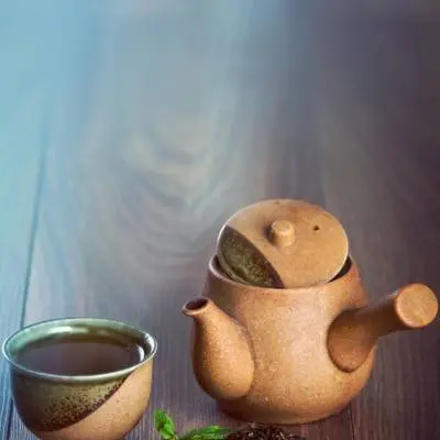 绿茶菌