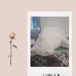 囫囵吞枣