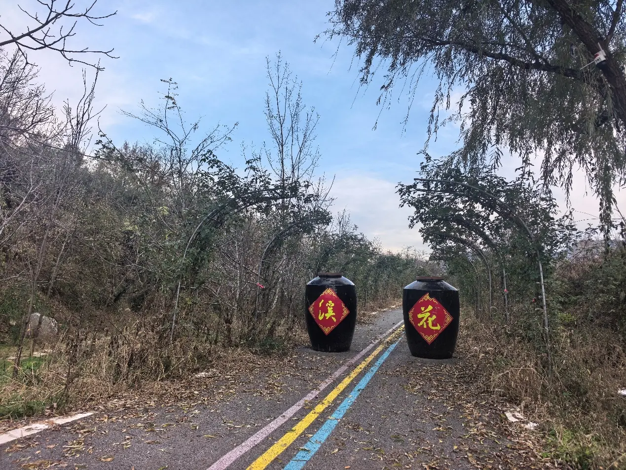 【西安2025年30项为民实事巡礼】
民宿、超市、服务中心……周至县红旗村，以村集体项目带动村民增收