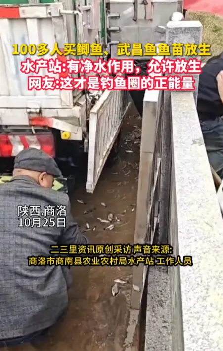 100多人买鲫鱼、武昌鱼鱼苗放生，水产站:有净水作用，允许放生