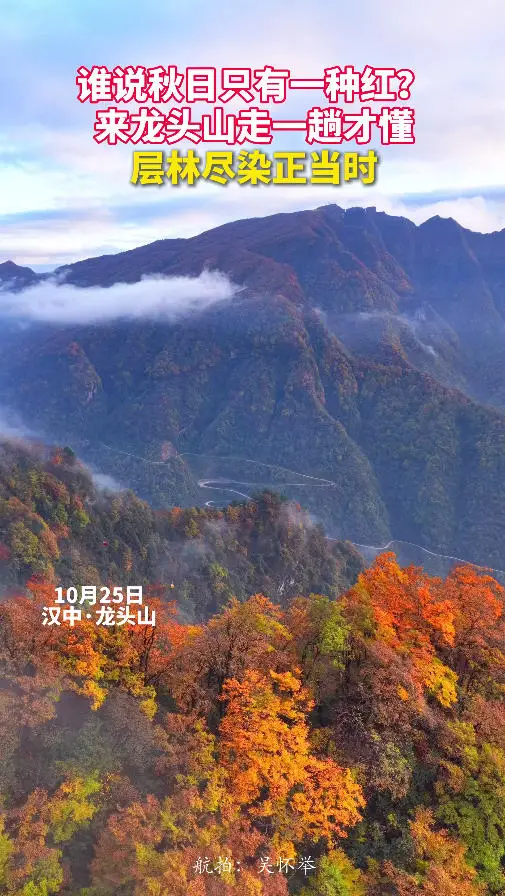 谁说秋日只有一种红？来汉中龙头山走一趟才懂