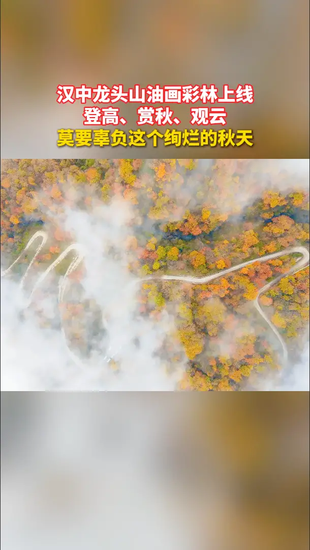 汉中龙头山油画彩林上线，登高、赏秋、观云正当时