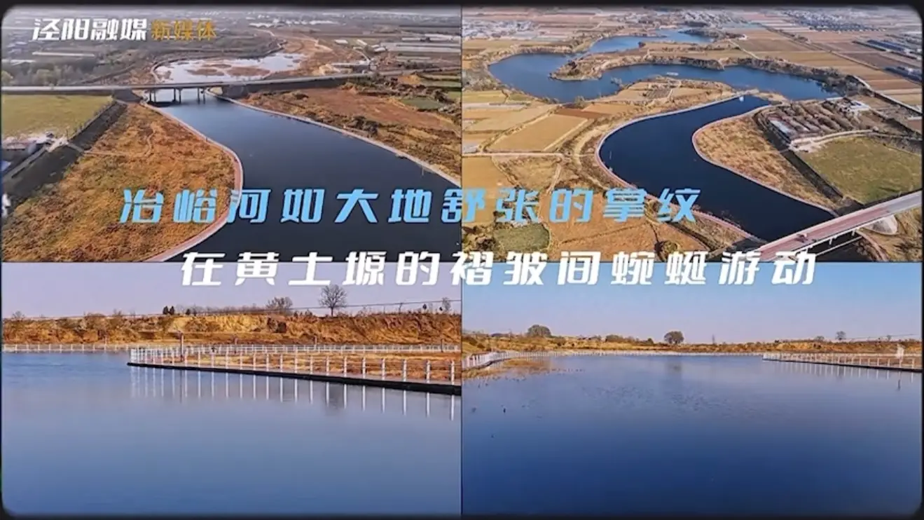 冶峪河如大地舒张的掌纹 在黄土塬的褶皱间蜿蜒游动