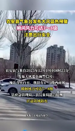 农安县气象台发布大风蓝色预警： 瞬间风力可达7～8级