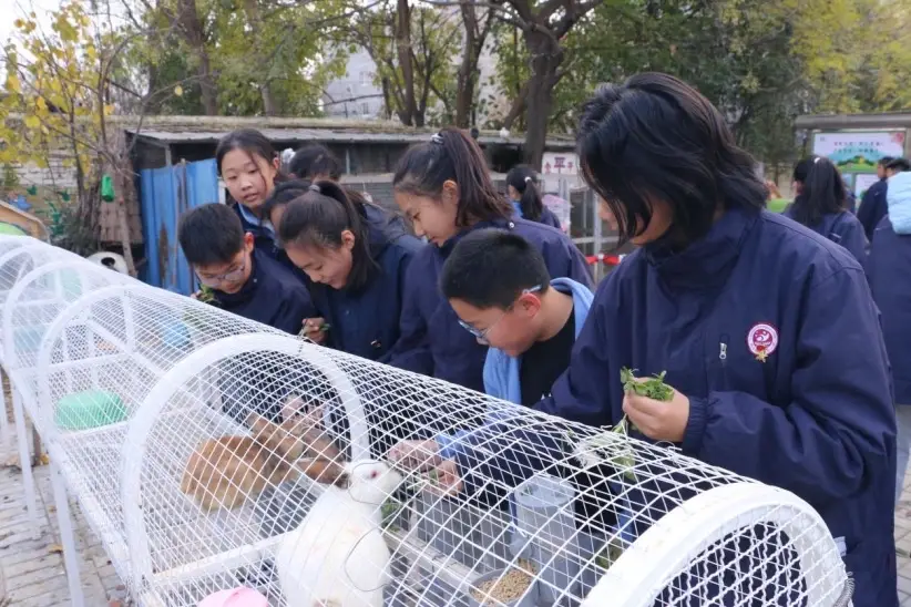 【西安2025年30项为民实事巡礼】
“三护”并举 守护学生健康成长
西安经开三小将“护眼护心护身”融入育人全过程
