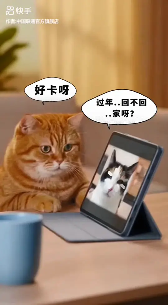 卡到表情扭曲！猫咪尴尬对话中断，装上联通宽带，快速畅聊不卡顿！