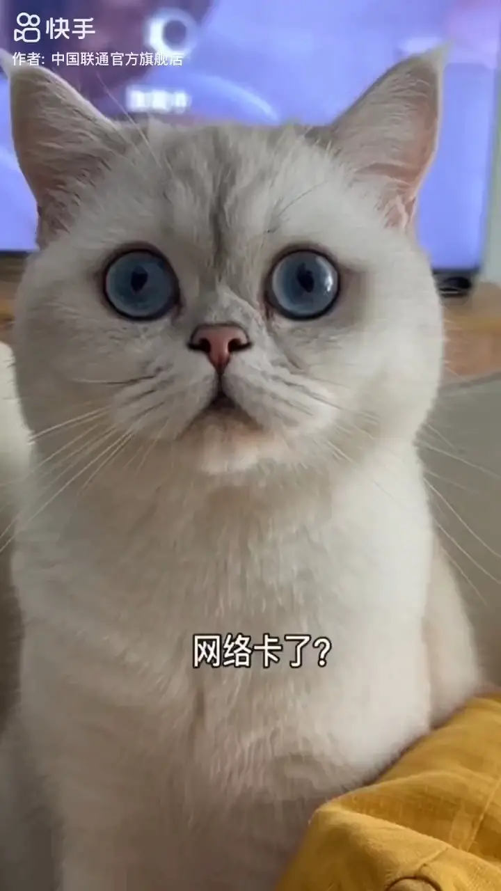 网络卡顿怎么办？办联通宽带！