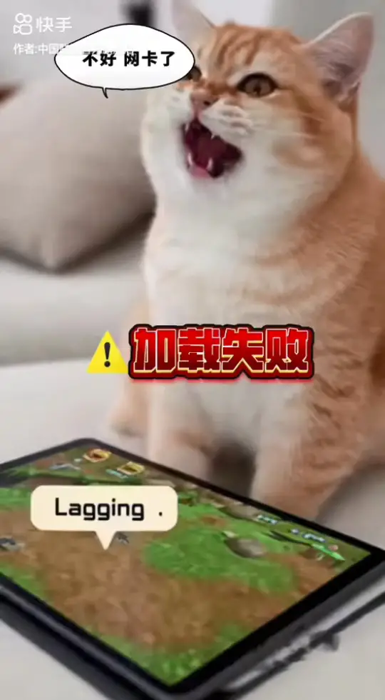 猫咪卡到炸毛？联通宽带助它五杀暴走！