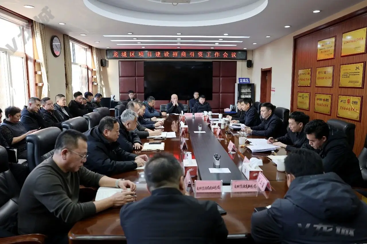 龙城区政府召开专题会议部署推进项目建设、招商引资和向上争取工作