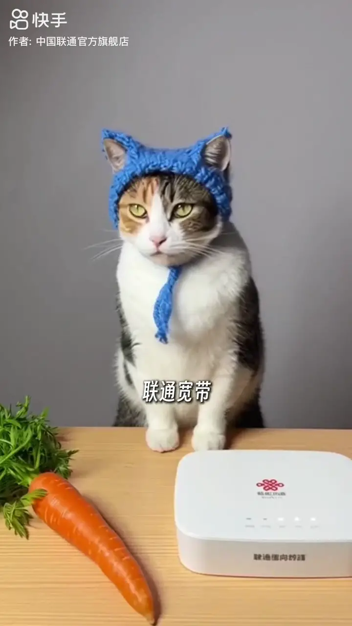 宽带办理就选联通宽带