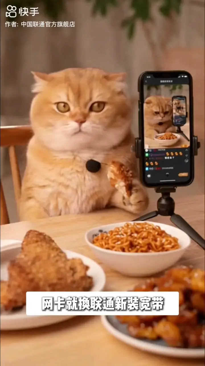 网卡就办联通宽带