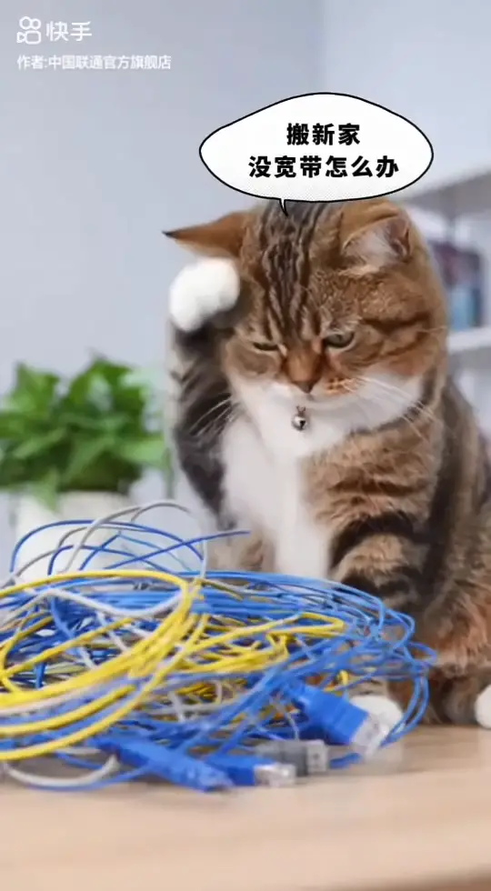 搬新家没宽带？别慌！一键预约火速上门，最快当天搞定~