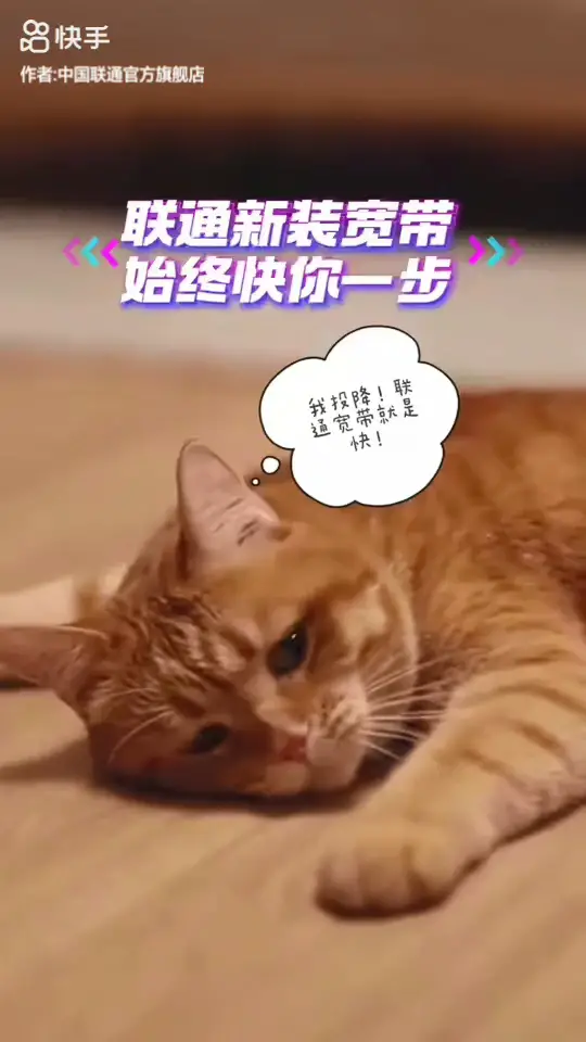 猫咪每次想偷偷溜走都被监控提前一步锁定！联通新装宽带快到连猫都服啦~ 