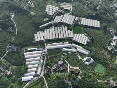 “年猪”出栏记——恒丰银行为新春“肉篮子”添“金”