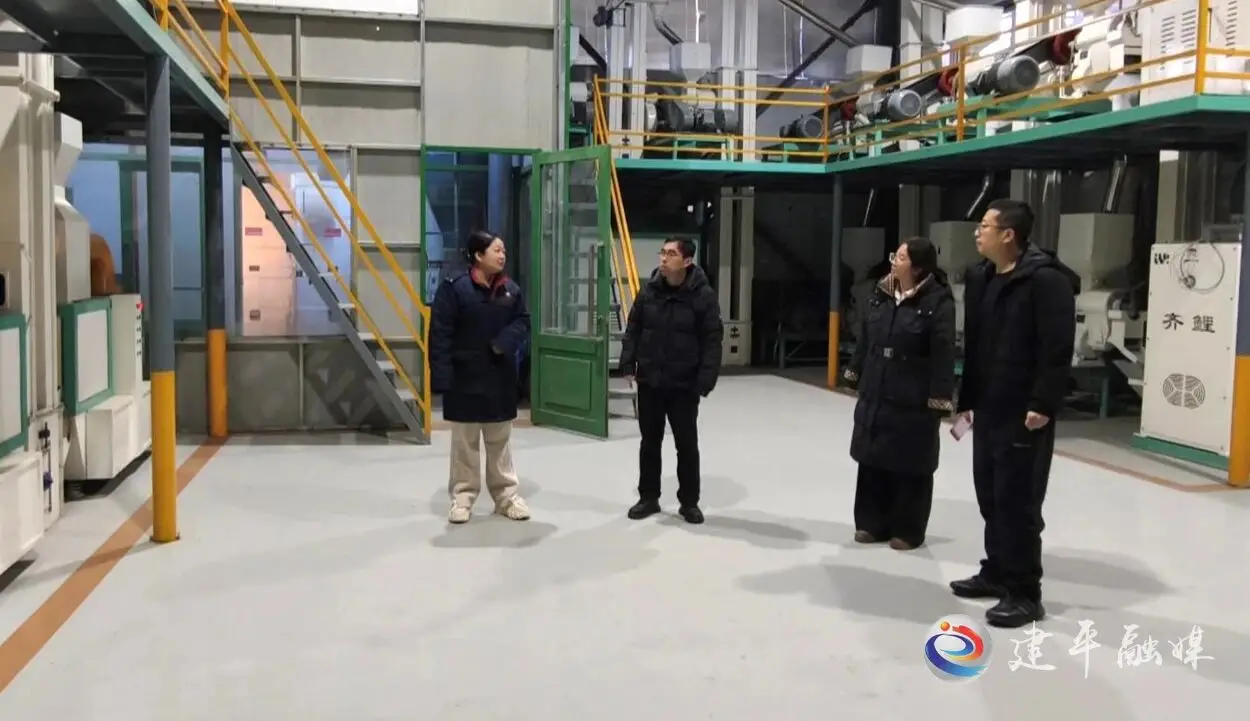 建平县建平镇：以服务之优筑发展之基