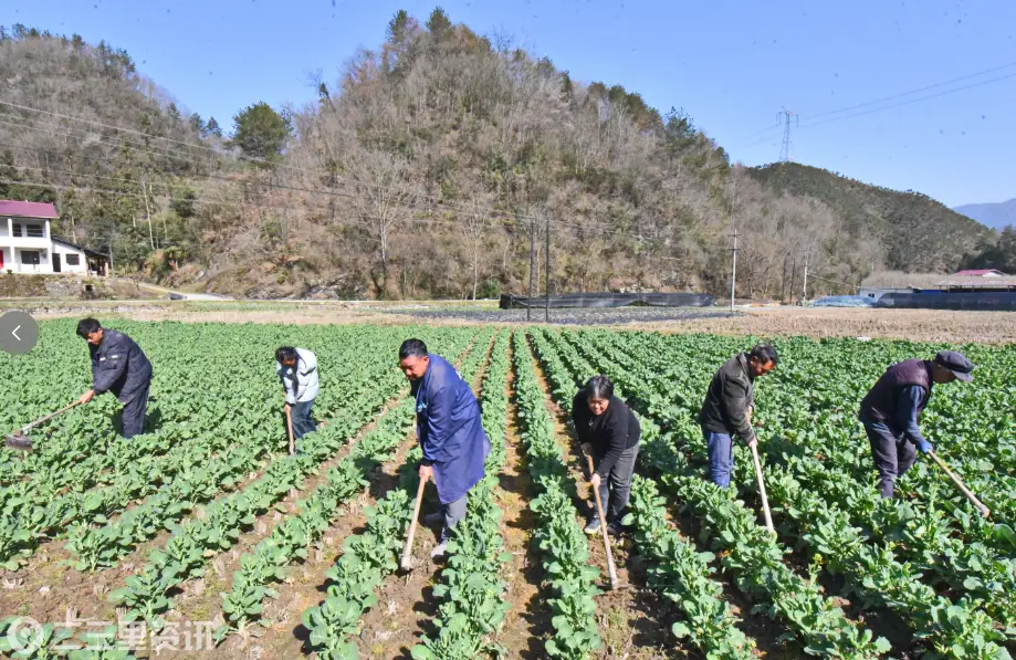 汉江源头春来早 宁强干群备耕忙