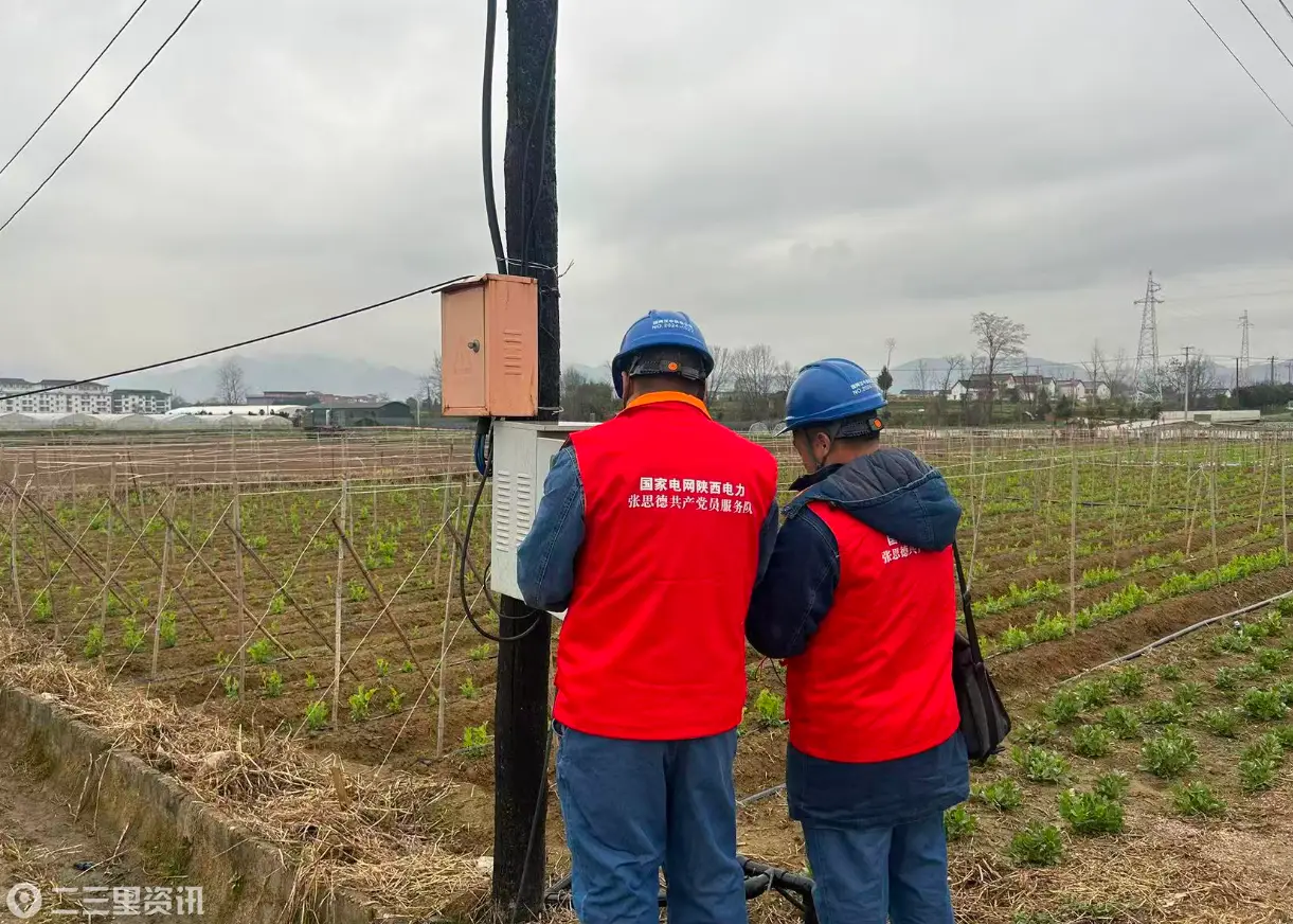国网汉中市南郑区供电公司：电力护航 点豆成金