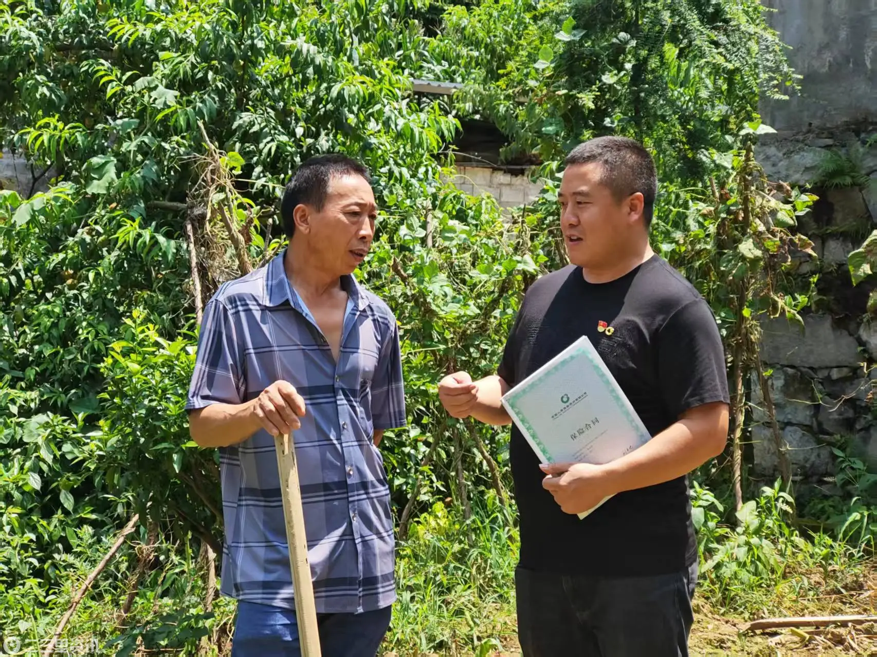 一张保单暖乡邻