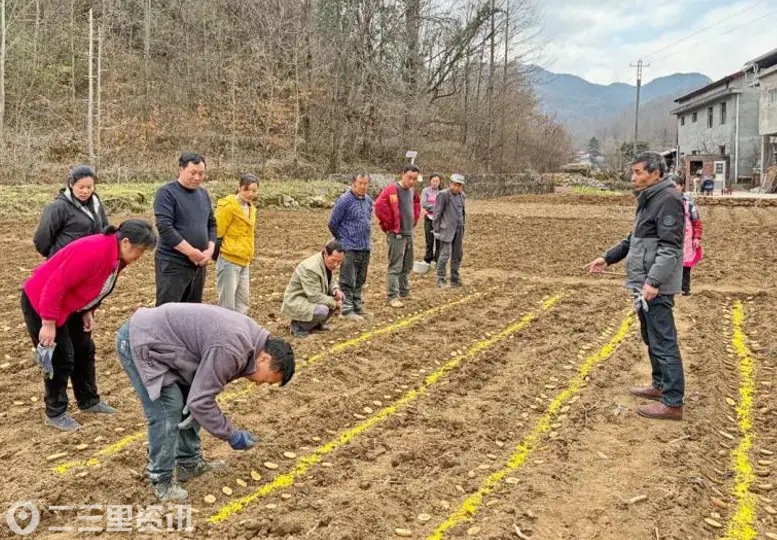 宁强县：科技引领提单产  试验示范促增收