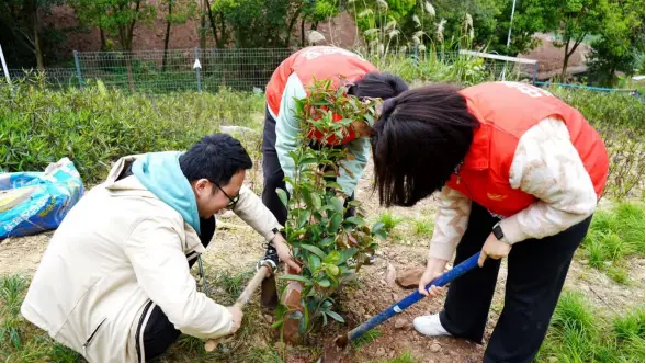 播下“消保”种子 守护南山新绿 平安健康险重庆分公司开展3·15植树节主题活动