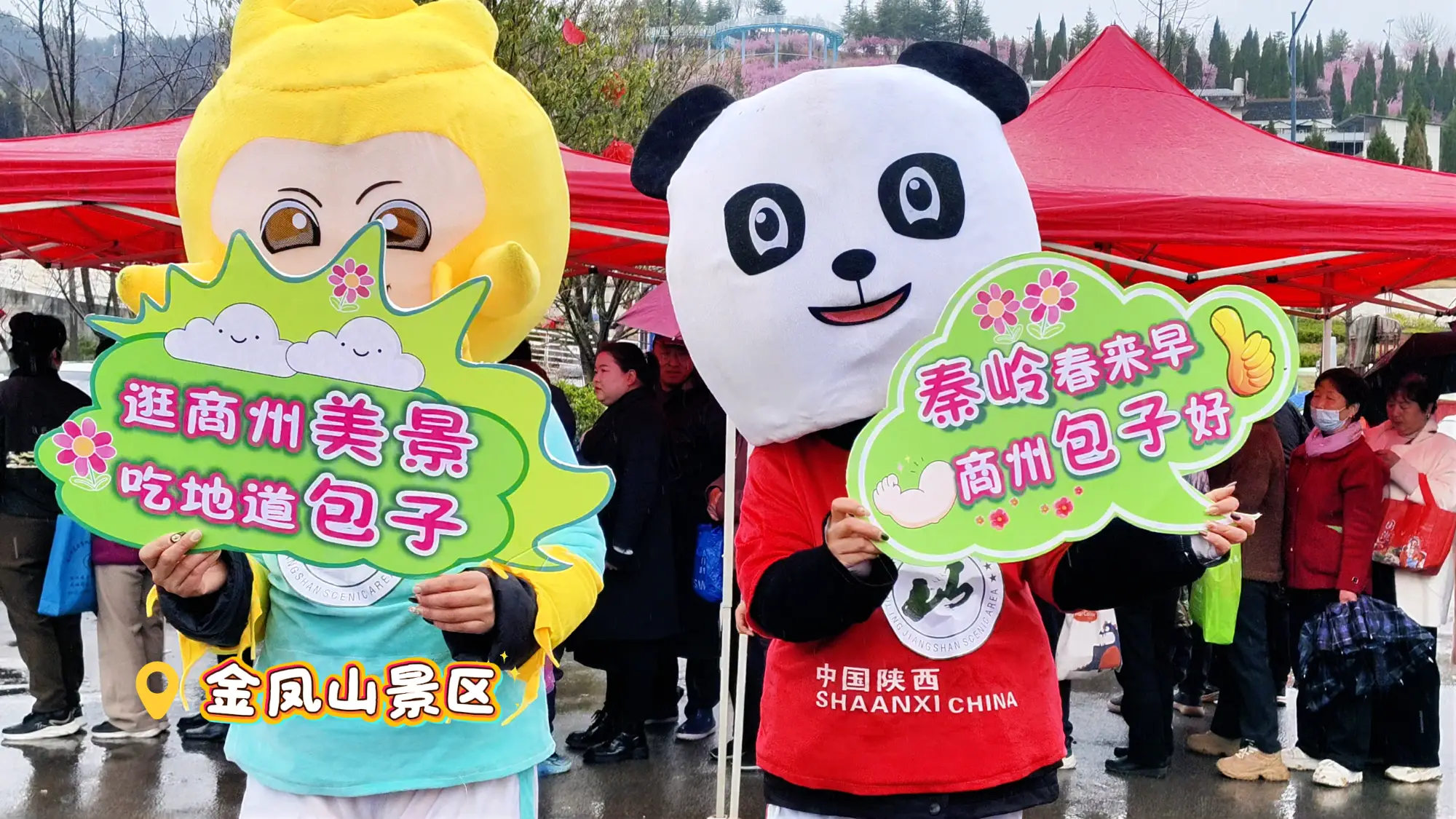 逛商州美景，吃地道包子|商州第二波“免费咥包子”活动在金凤山和东坡院子分别举行