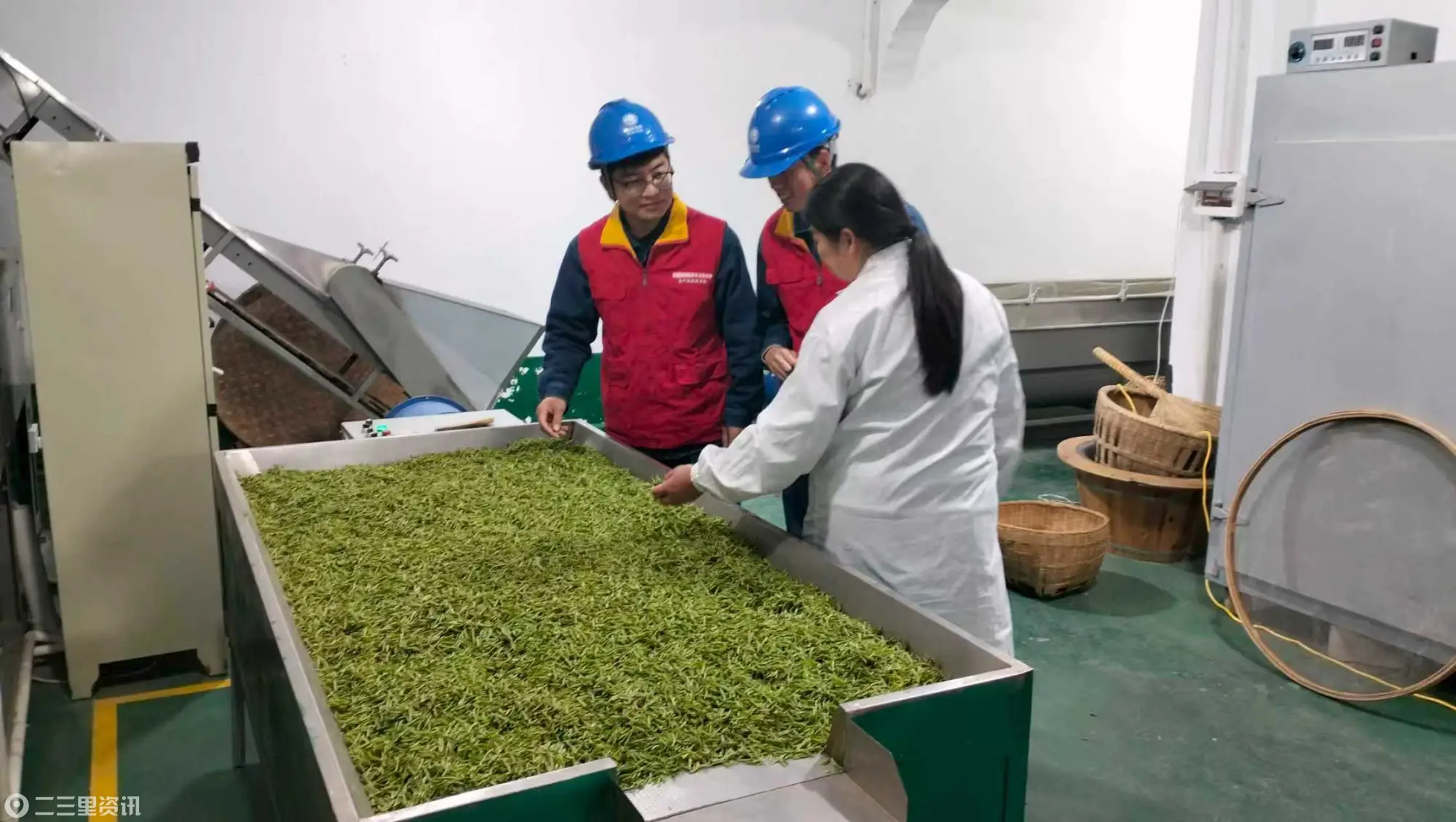 国网安康市汉滨区供电公司：靠前服务春茶季 满格电力溢茶香