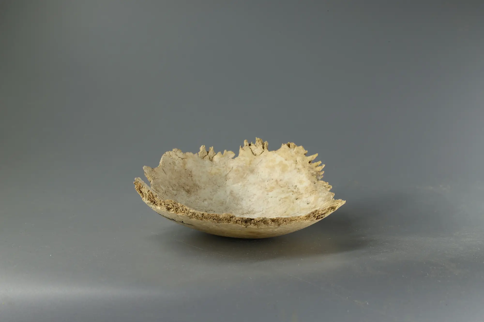 泾阳蒋刘遗址发现人头骨杯，内外侧残留磨制使用痕迹