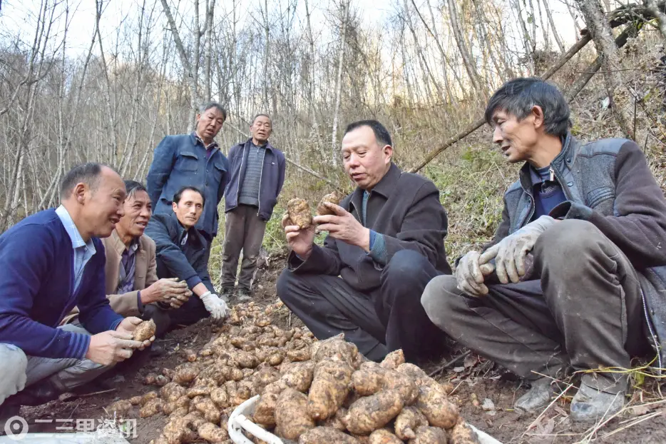 植根山区四十载  研发菌种助民富 ——记汉中市最美科技工作者天汉工匠宁强县 真菌研究所所长张怀荣