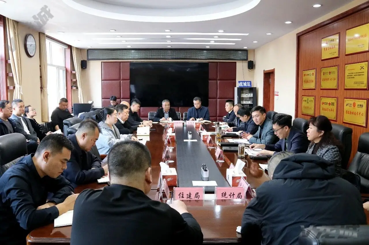 龙城区召开一季度项目建设工作会议