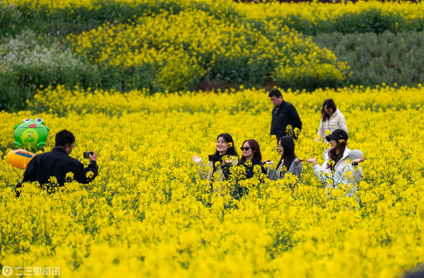 在花海的经纬里，遇见汉台的温度