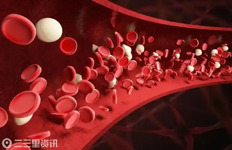 了解一下，人体血液的秘密！