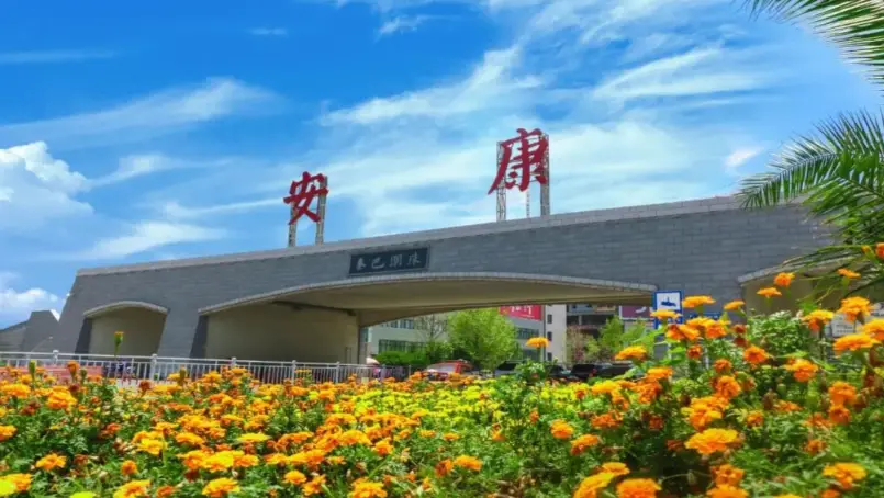 缅怀革命先烈 传承红色基因 ——区卫健局开展主题党日活动