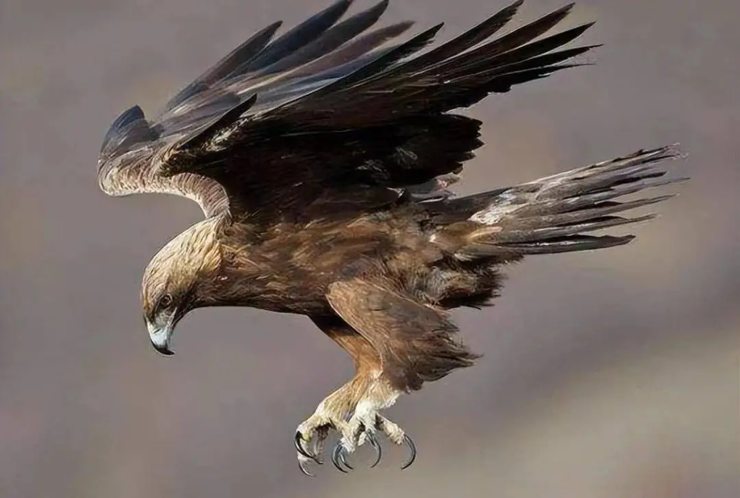 webwxgetmsgimg (14) webwxgetmsgimg (14).jpg