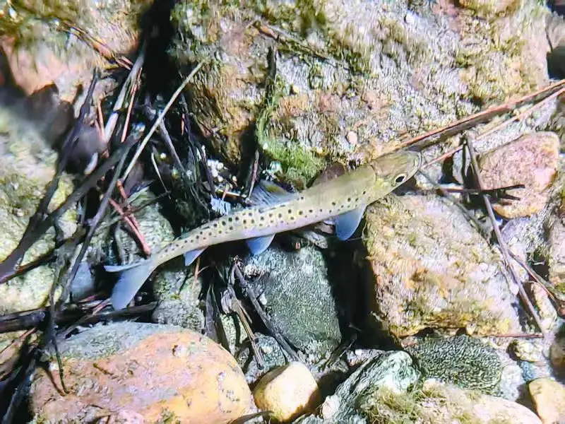 webwxgetmsgimg (15) webwxgetmsgimg (15).jpg