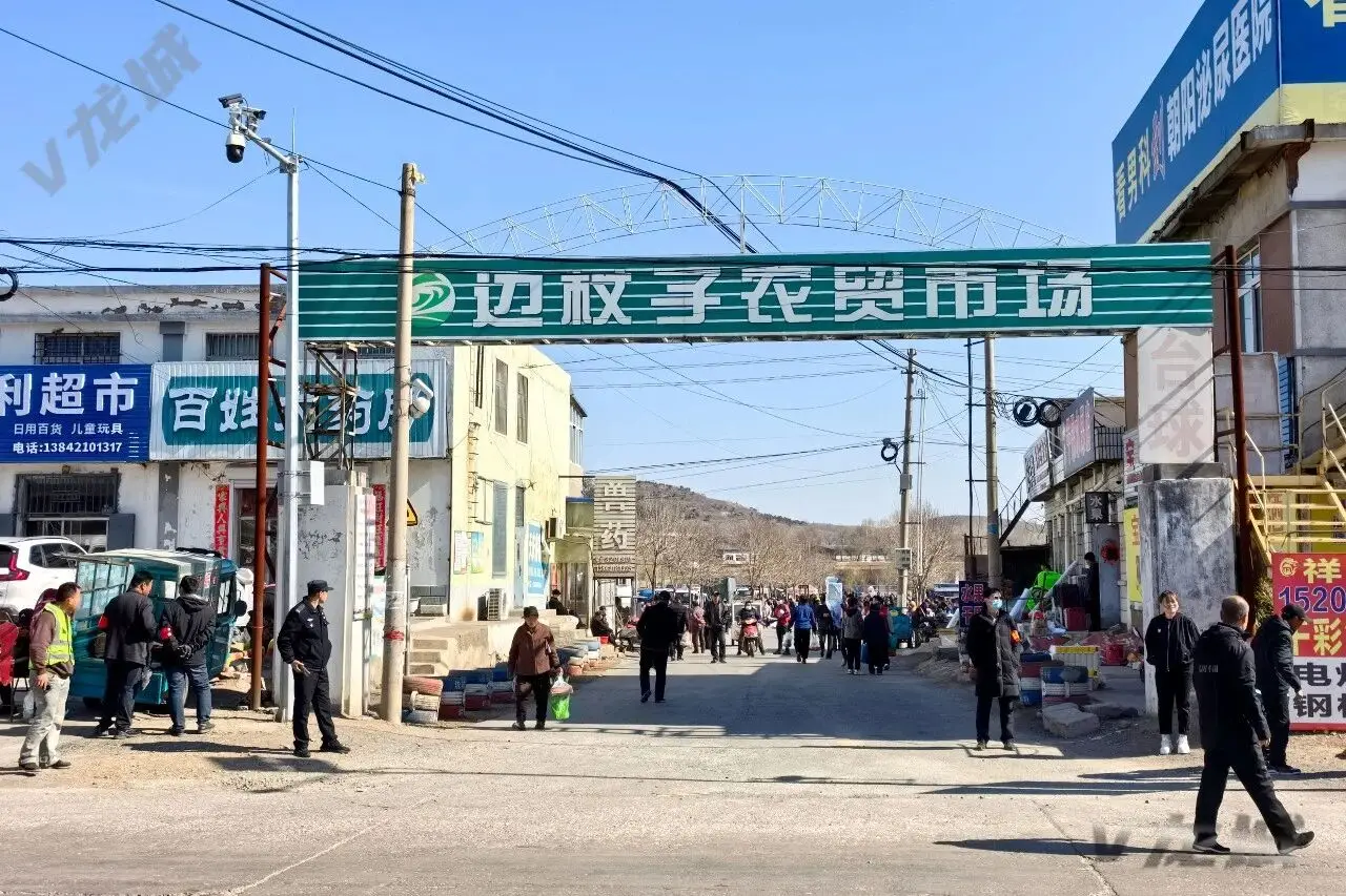 龙城区边杖子镇多措并举整治集市安全隐患筑牢经营出行“安全防线”