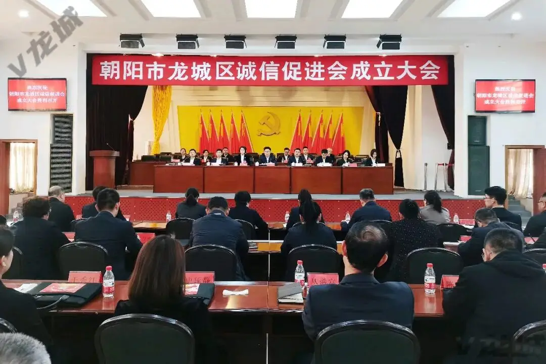 龙城区诚信促进会成立大会召开
