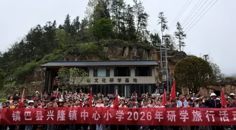 镇巴县兴隆镇中心小学开展春季茶文化研学实践活动