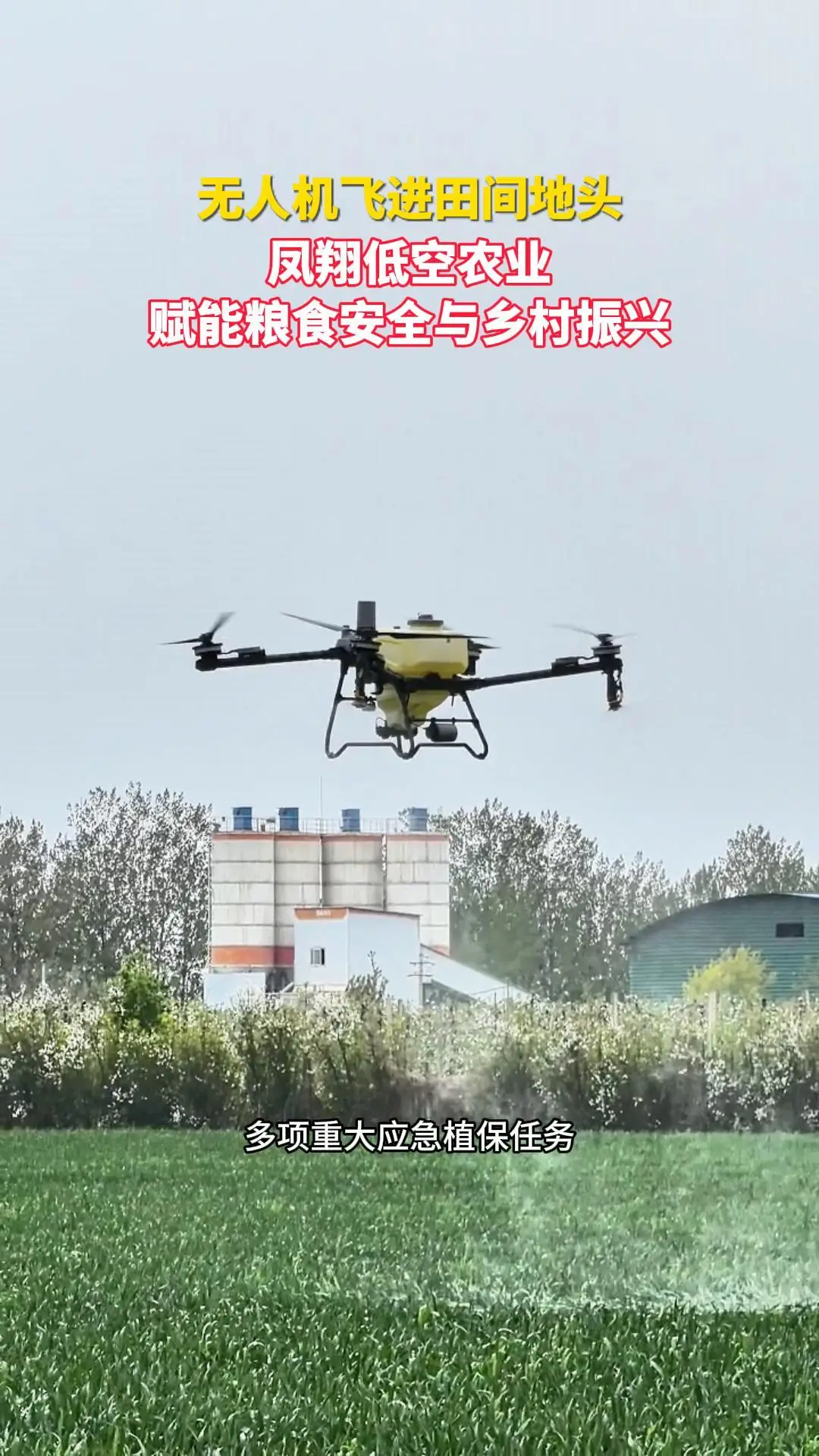 无人机飞进田间地头 凤翔低空农业赋能粮食安全与乡村振兴