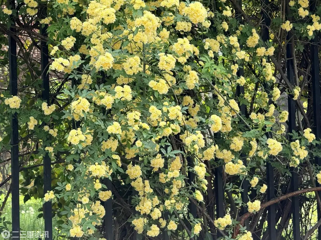 46e8c571-de5f-4103-b866-76fcbc0425ba