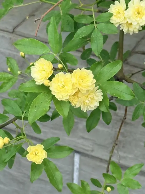 7434b47d-dcb3-4f65-9452-47ab9e2f2653