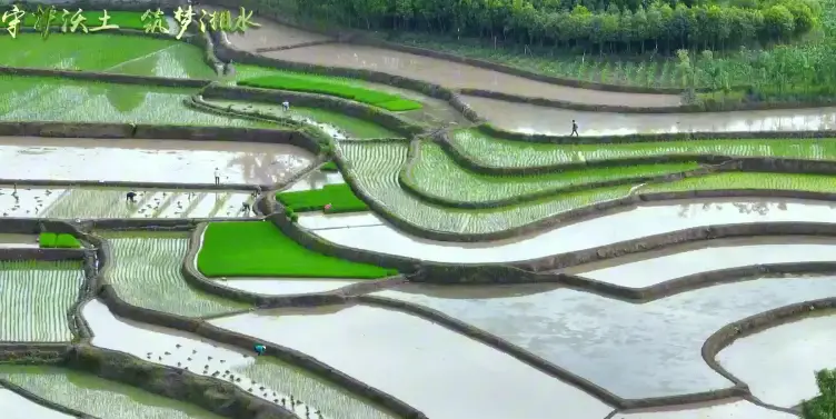 南郑区湘水镇耕地保护系列宣传视频：守护沃土 筑梦湘水——宜粮尽粮 应种尽种