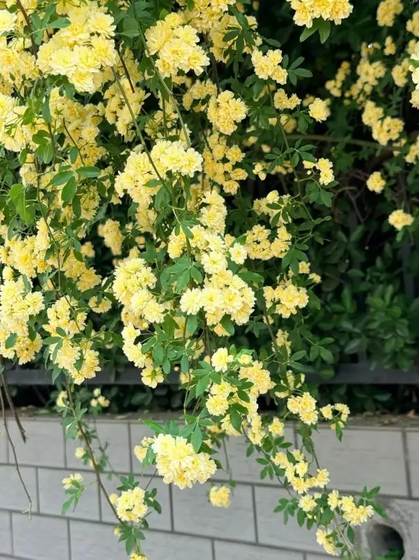 10419910-0699-4ab6-89a4-7525ed8636e4