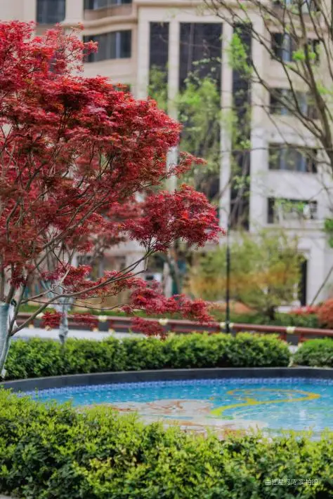 /Users/wumiemie/Library/Containers/com.kingsoft.wpsoffice.mac/Data/tmp/picturecompress_20260410144441/output_1.jpgoutput_1