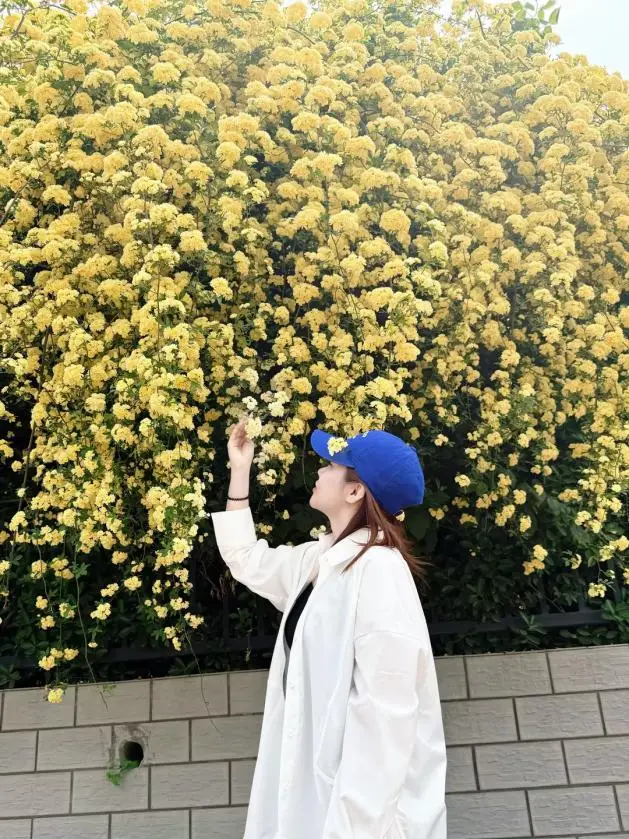 c5ee9a55-00ce-4e58-ab35-bbc622a6ebb8