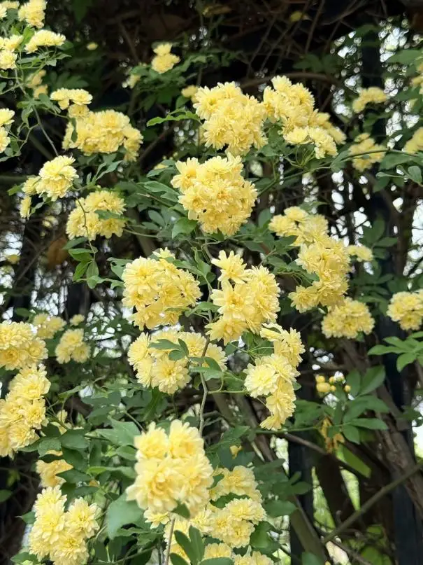 aacc39e9-200d-4832-b6c1-36d27e7c46ea