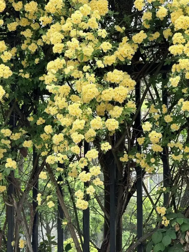 eabda144-f021-440e-a231-6d74dac900c9