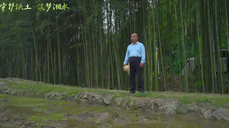 南郑区湘水镇耕地保护系列宣传视频：守护沃土 筑梦湘水——撂荒地复耕