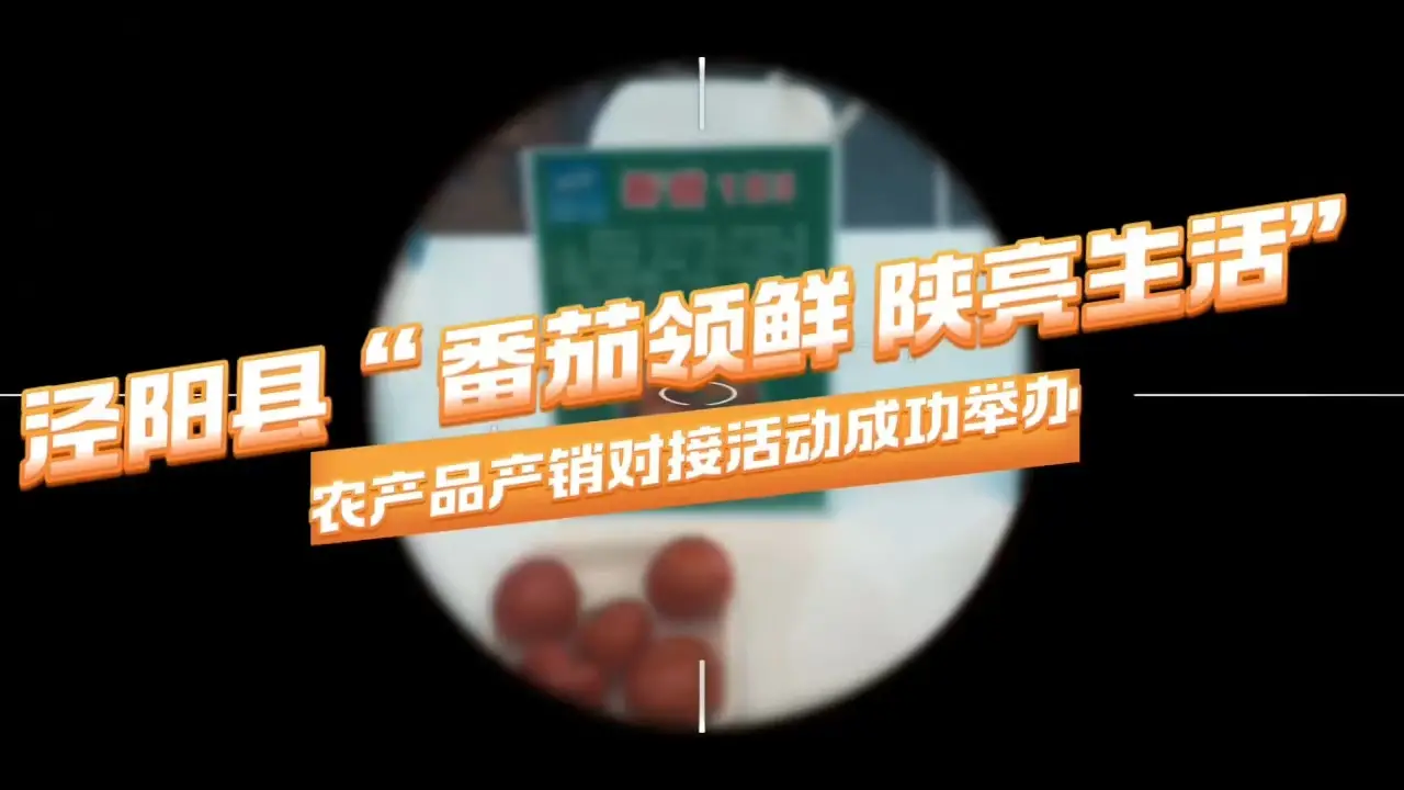 泾阳县“番茄领鲜 陕亮生活”农产品产销对接活动圆满举行