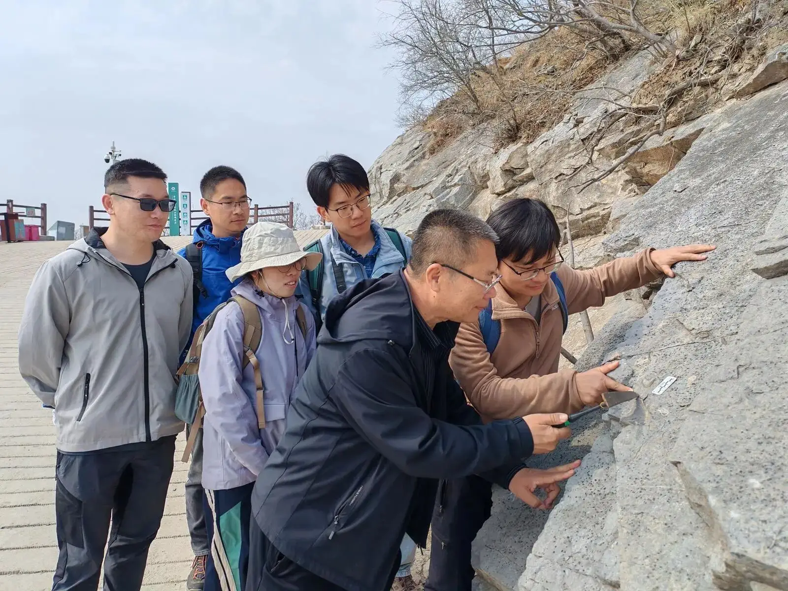 4.8亿年前海洋无脊椎动物化石现身朝阳凤凰山