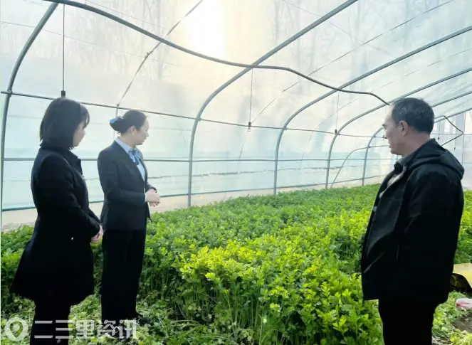 咸阳农合机构首季多点发力  金融赋能地方经济高质量开局